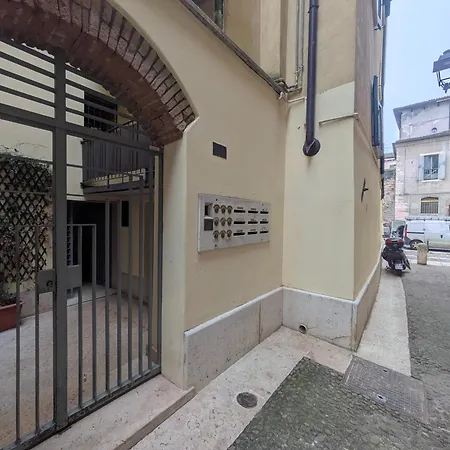 Cello * فيرونا